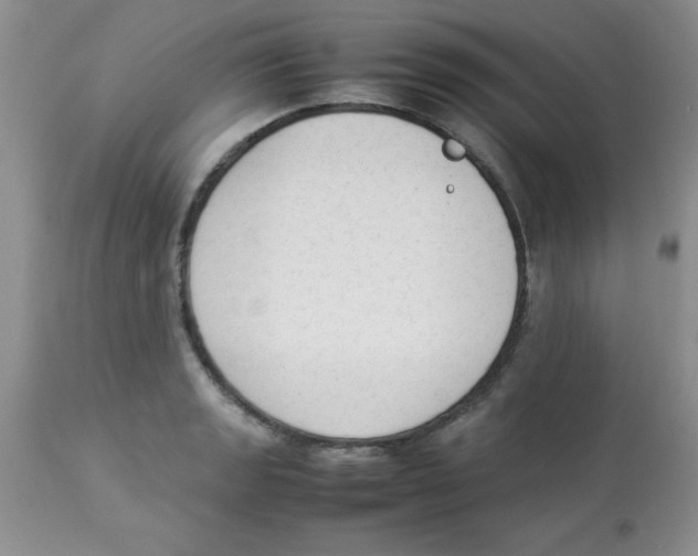 X0000112851133200909181729