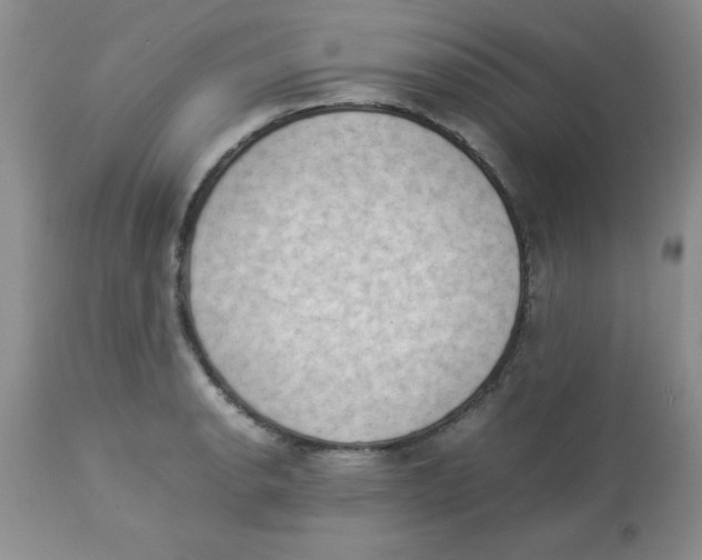 X0000112851134200909181729