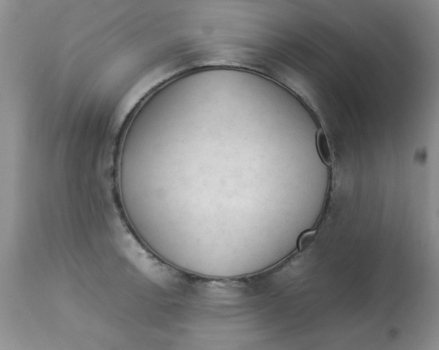 X0000112851138200909181729