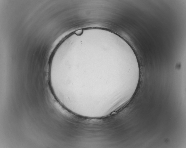 X0000112851140200909181729