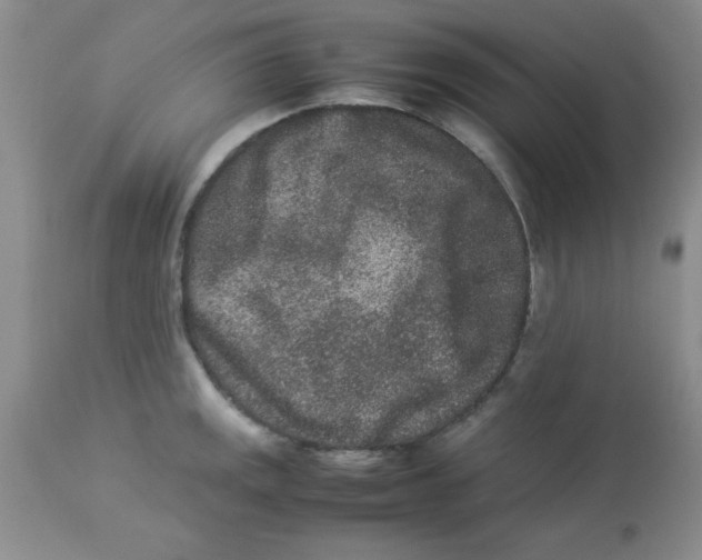 X0000112851141200909181729