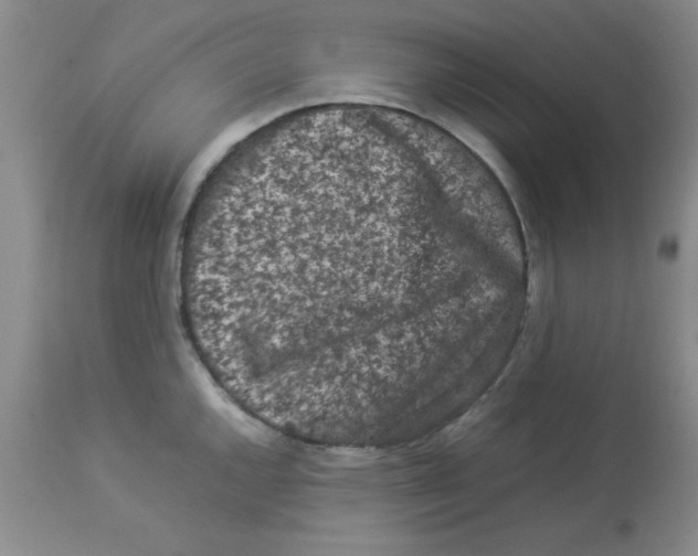 X0000112851144200909181730