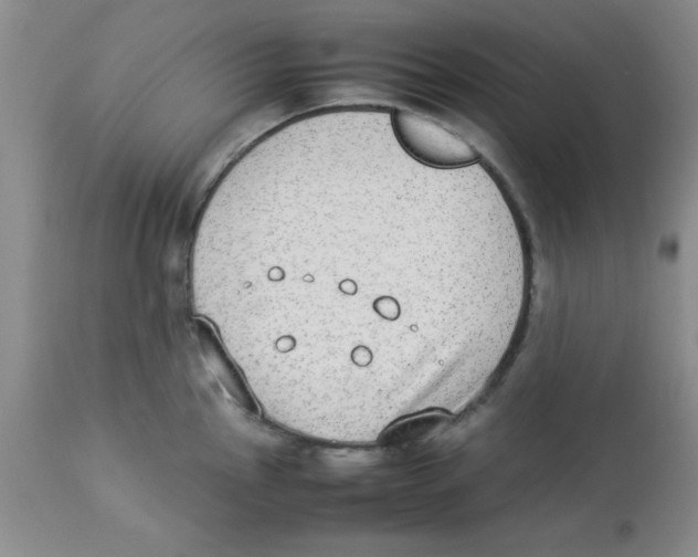 X0000112851145200909181730