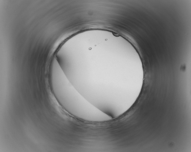 X0000112851146200909181730