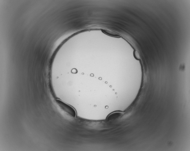 X0000112851149200909181730