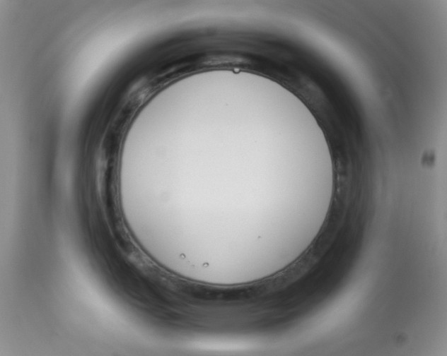 X0000112851151200909181730