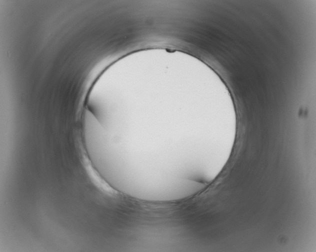 X0000112851152200909181730