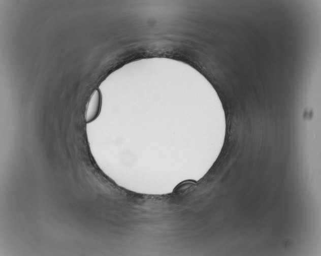 X0000112851153200909181729