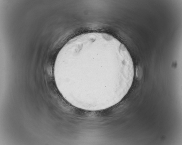 X0000112851155200909181729