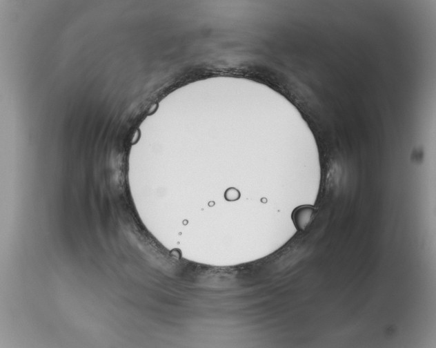 X0000112851156200909181729