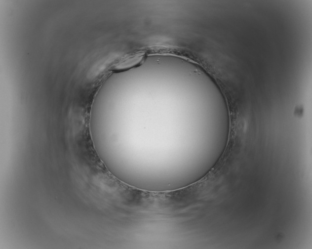 X0000112851157200909181729