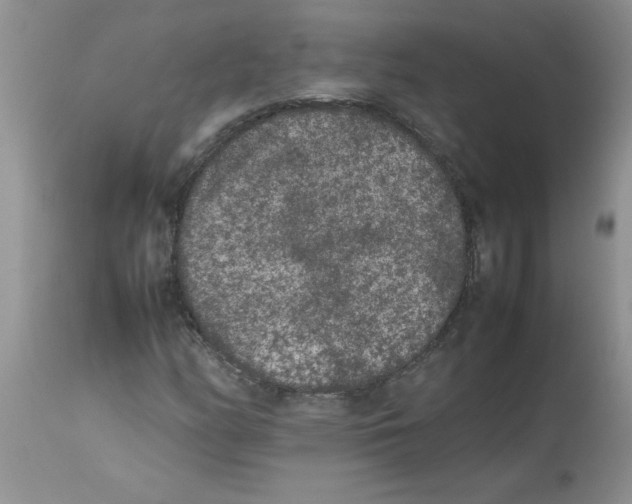 X0000112851158200909181729