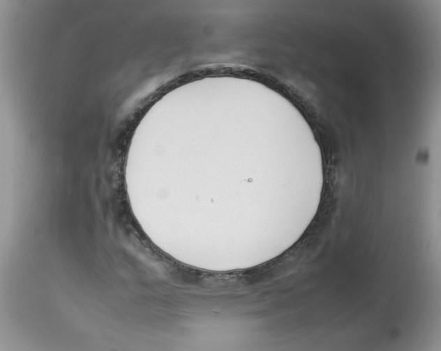 X0000112851159200909181729