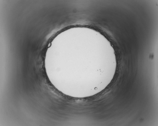 X0000112851160200909181729