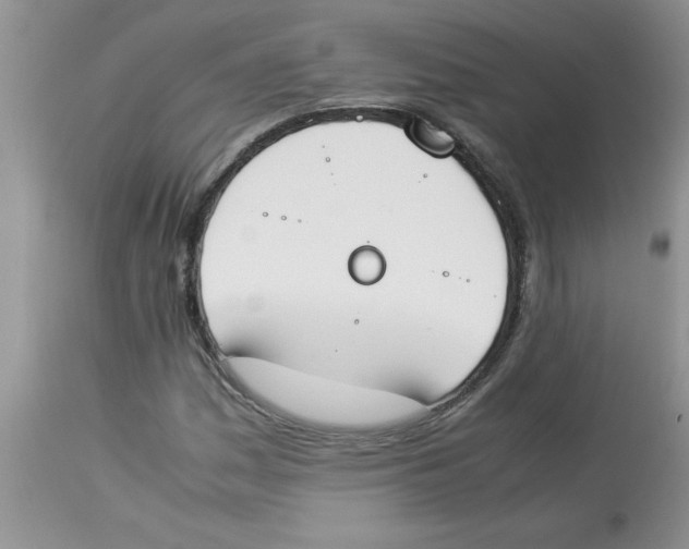 X0000112851161200909181729