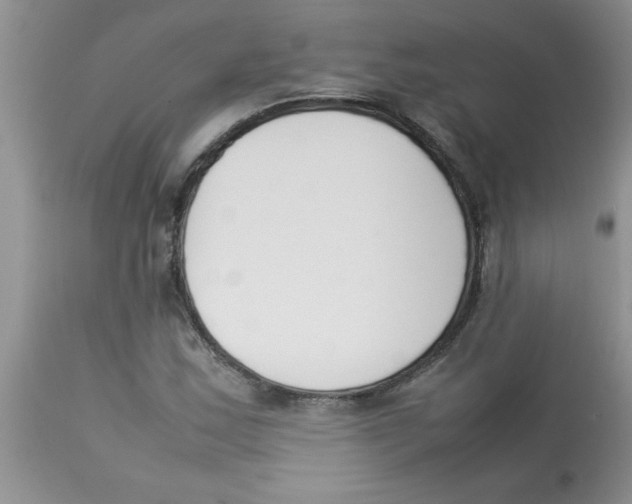 X0000112851163200909181729