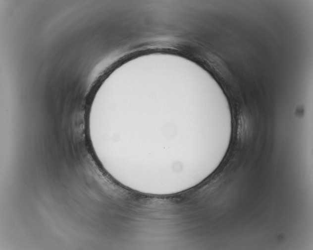 X0000112851164200909181729