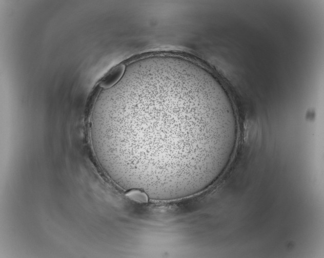 X0000112851165200909181729