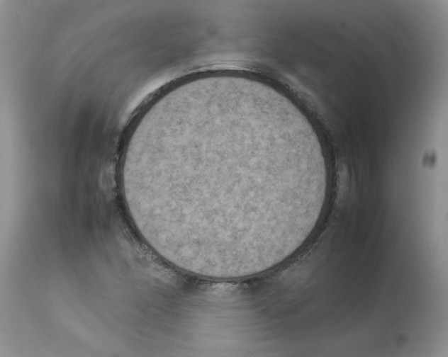 X0000112851166200909181729