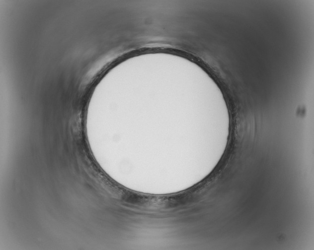 X0000112851167200909181729