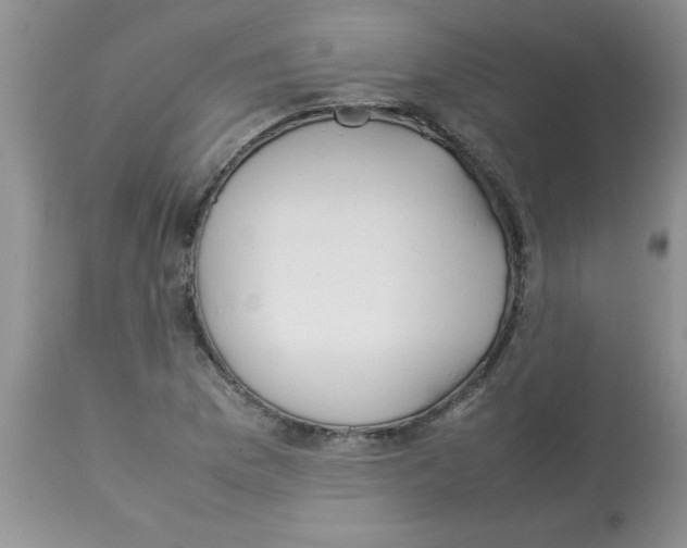 X0000112851169200909181729