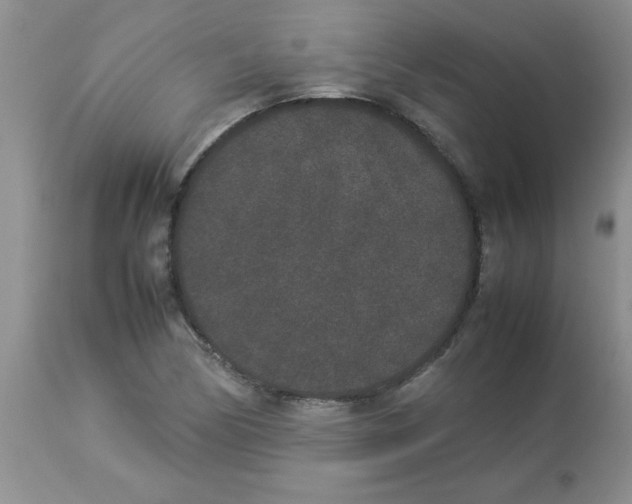 X0000112851170200909181729