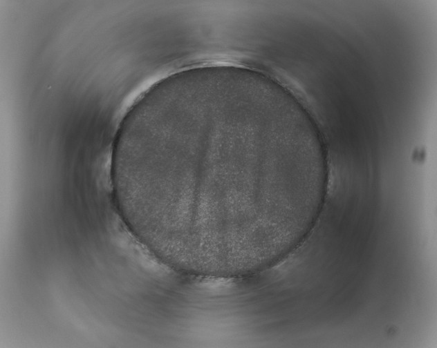 X0000112851174200909181729