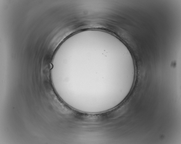 X0000112851177200909181729