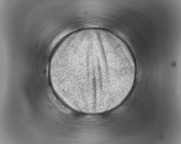 X0000112851179200909181729