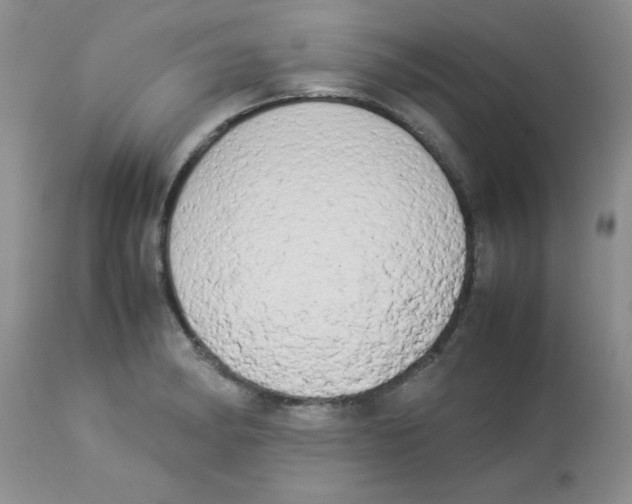 X0000112851182200909181728