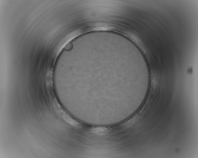 X0000112851186200909181728