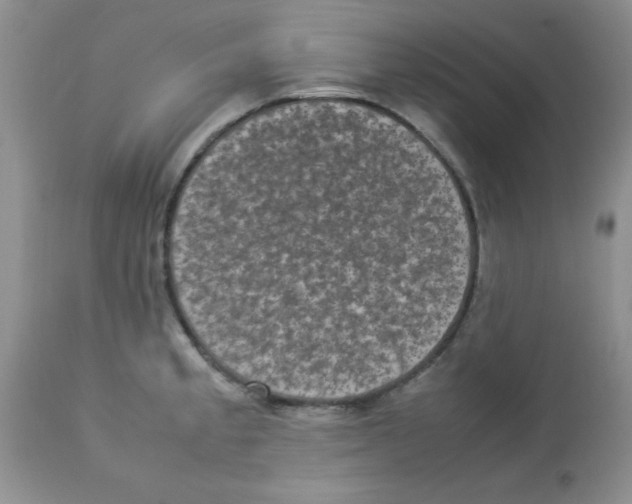 X0000112851189200909181728