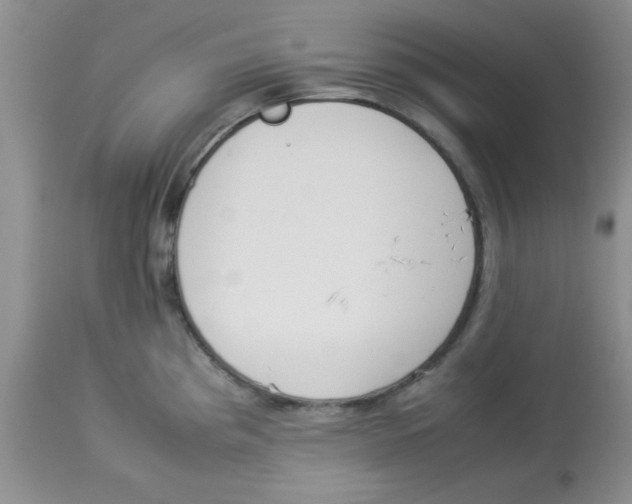 X0000112851193200909181728