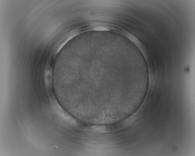 X0000112851194200909181728