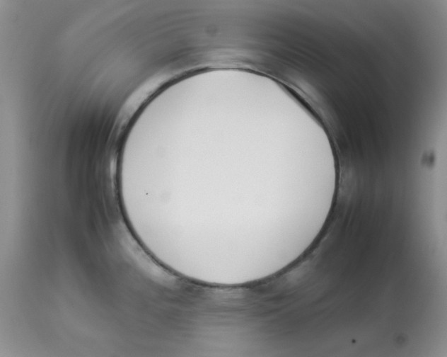 X0000112851196200909181728