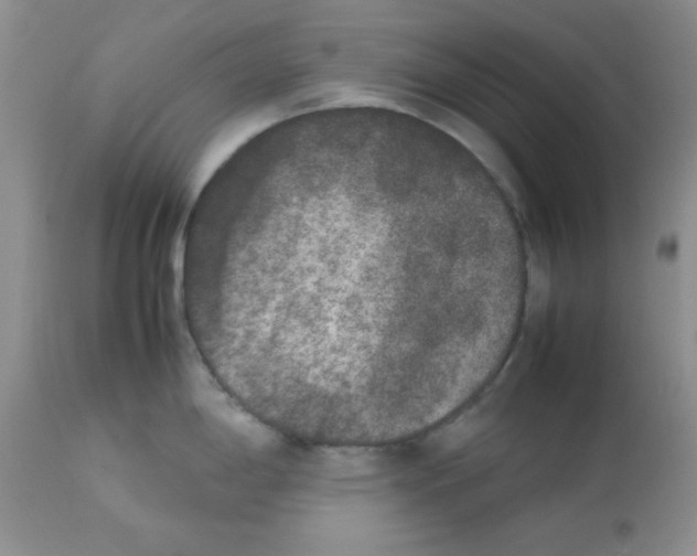 X0000112851198200909181728