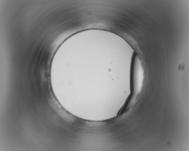 X0000112851200200909181728