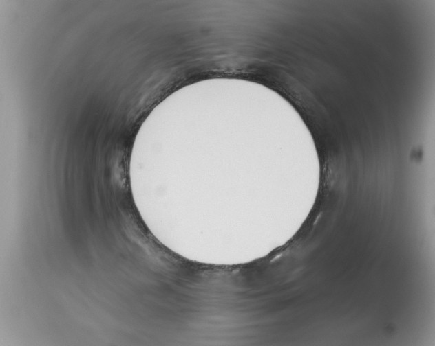 X0000112851202200909181728