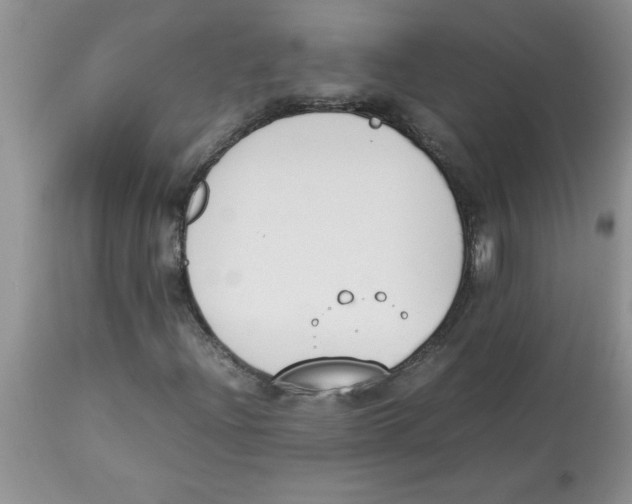 X0000112851204200909181728