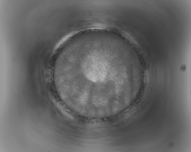 X0000112851208200909181728