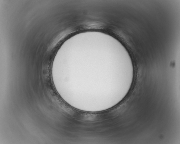 X0000112851211200909181728