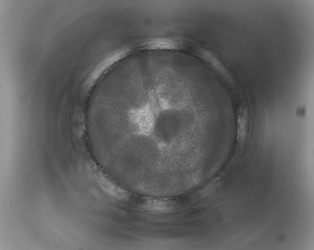 X0000112851213200909181728