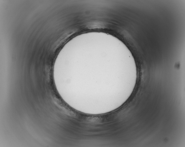 X0000112851217200909181728