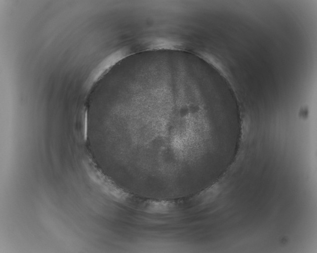 X0000112851219200909181728