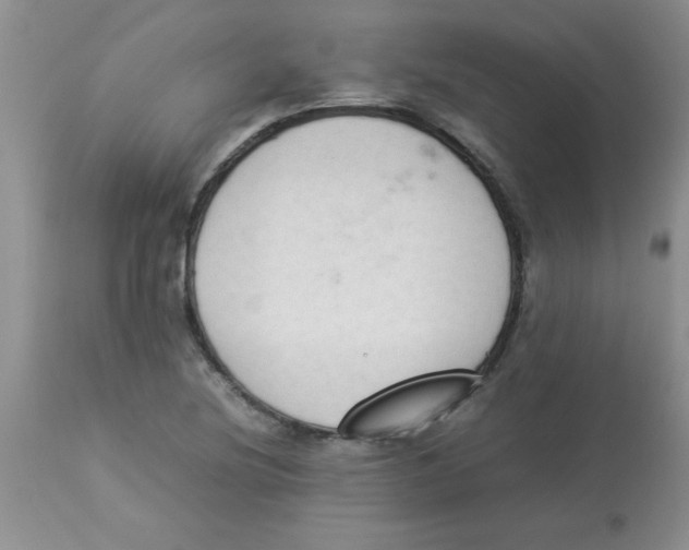 X0000112851220200909181728