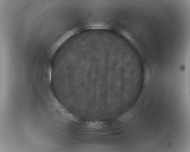 X0000112851221200909181728