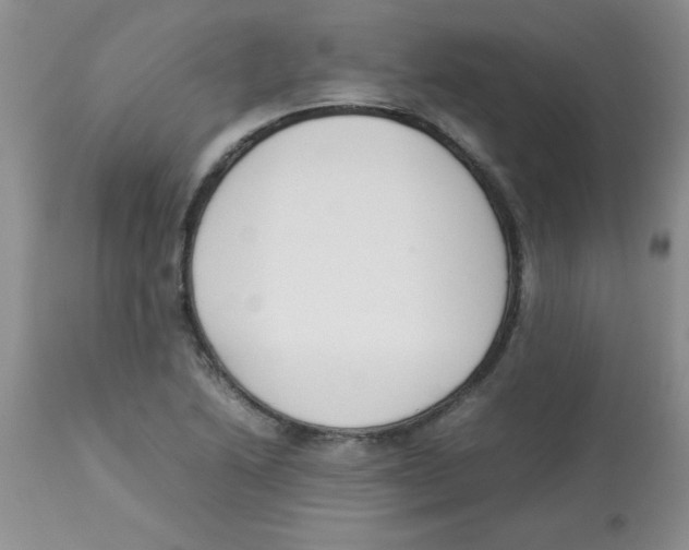 X0000112851222200909181728