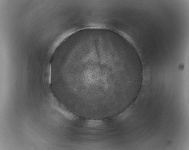 X0000112851223200909181728