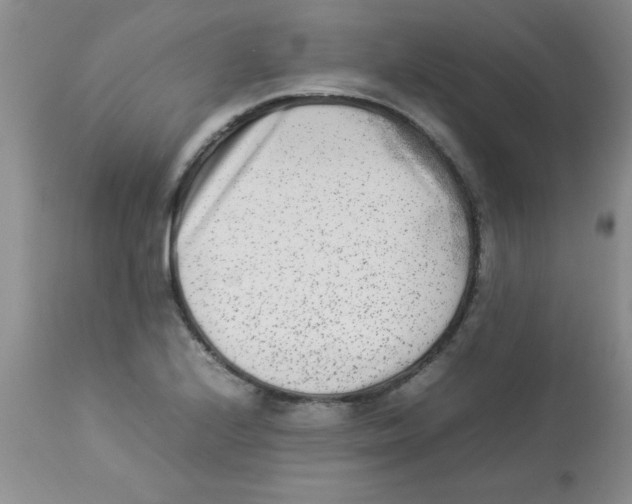 X0000112851224200909181728