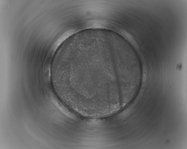 X0000112851226200909181728